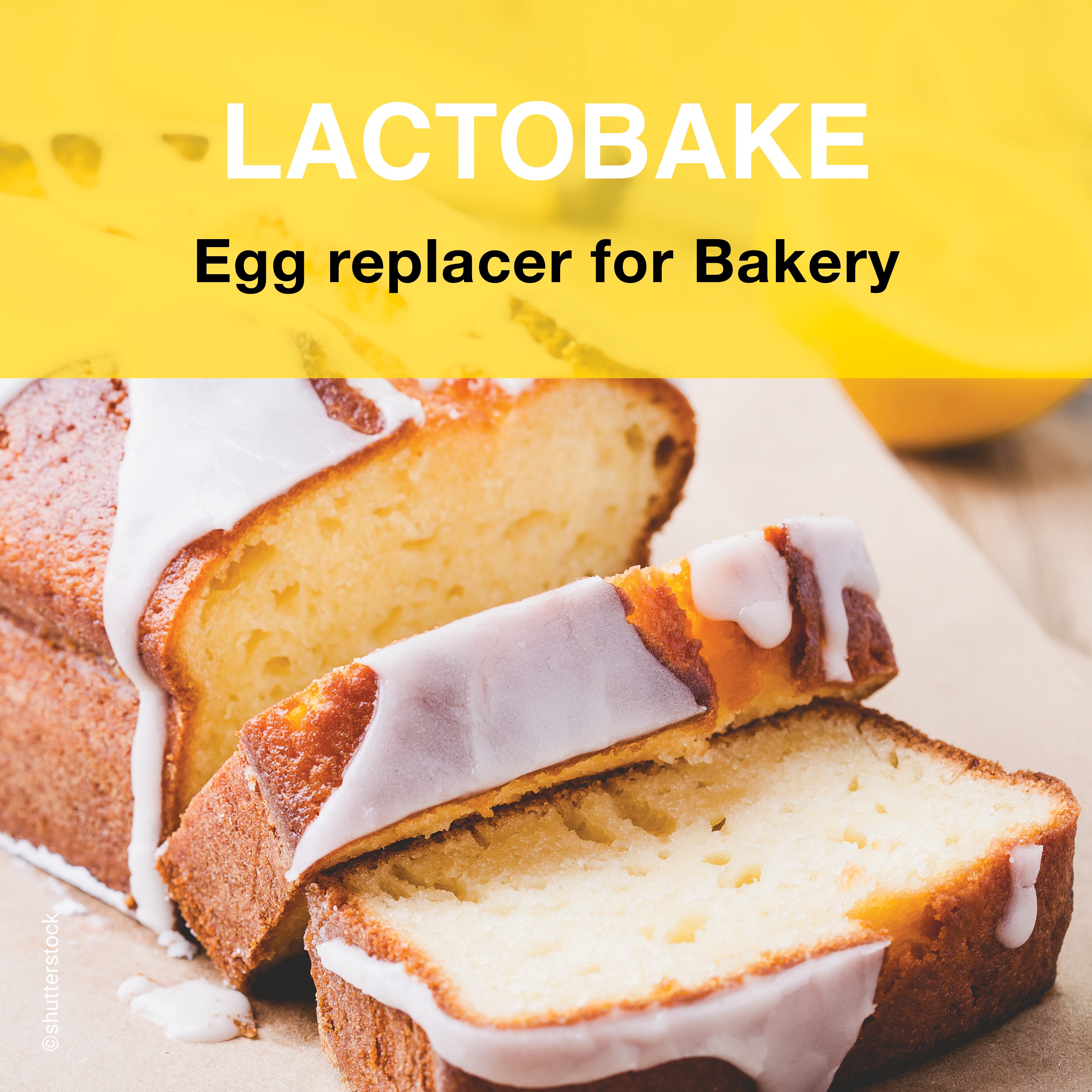 Lactobake - egg replacer for bakery